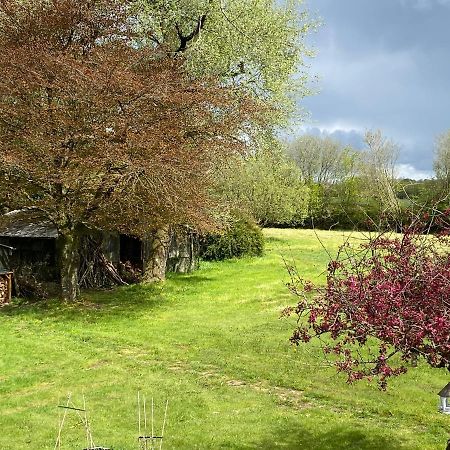 Horseford Lodge B&B South Molton Kültér fotó